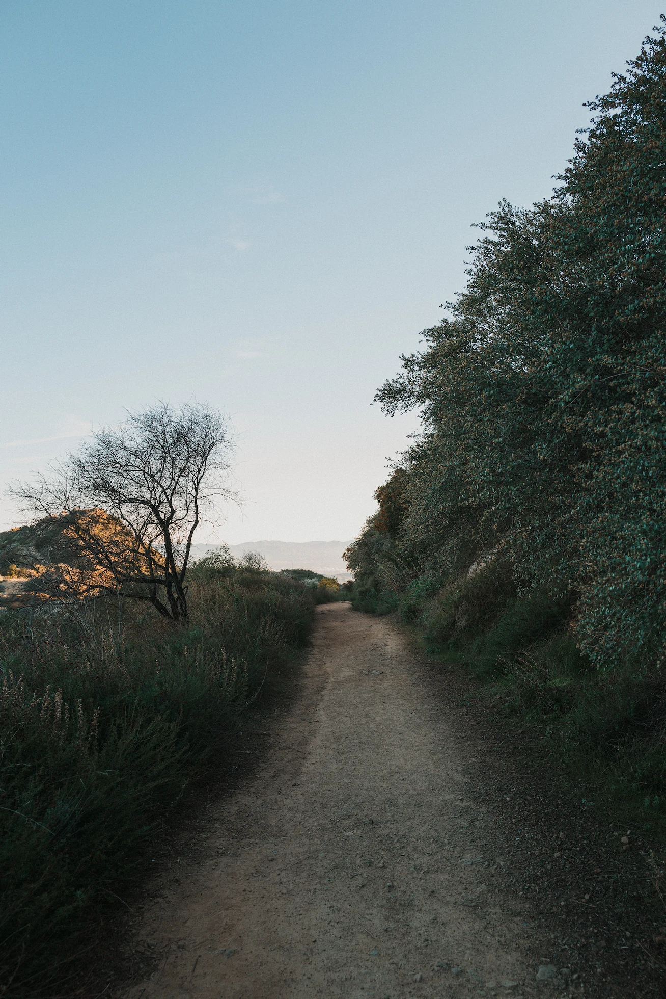 The dirt road stretch