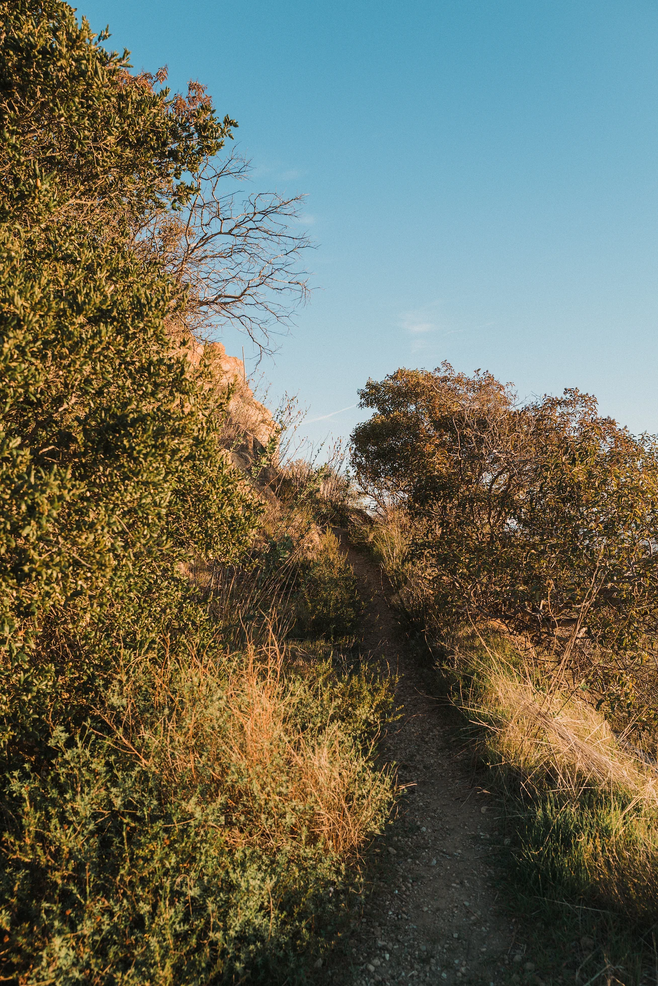 Where the road narrows to singletrack